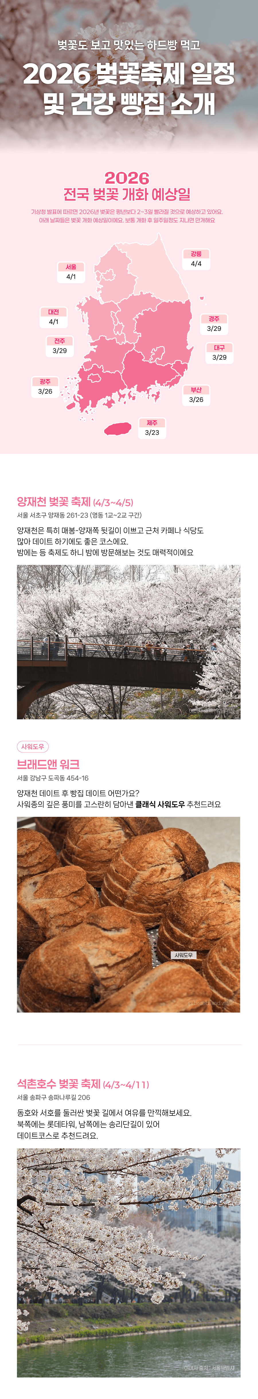2026 벚꽃축제 일정 및 건강 빵집 소개