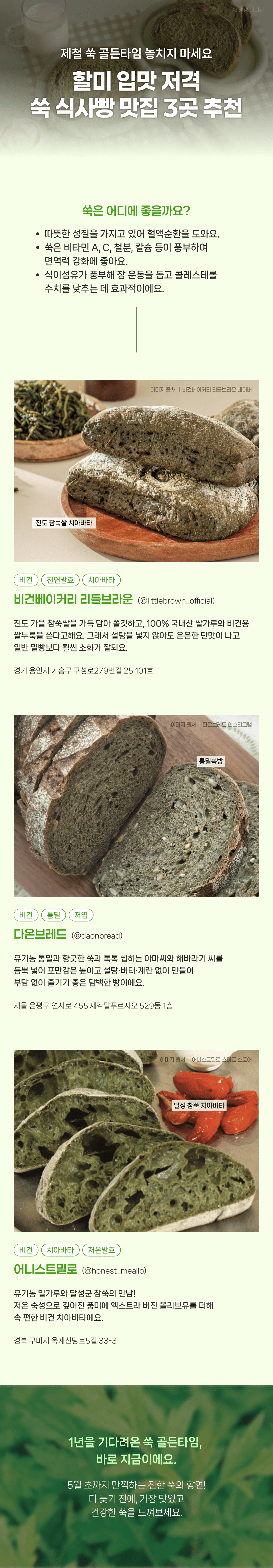 제철 쑥 골든타임! 할미 입맛 저격 쑥 식사빵 맛집 추천