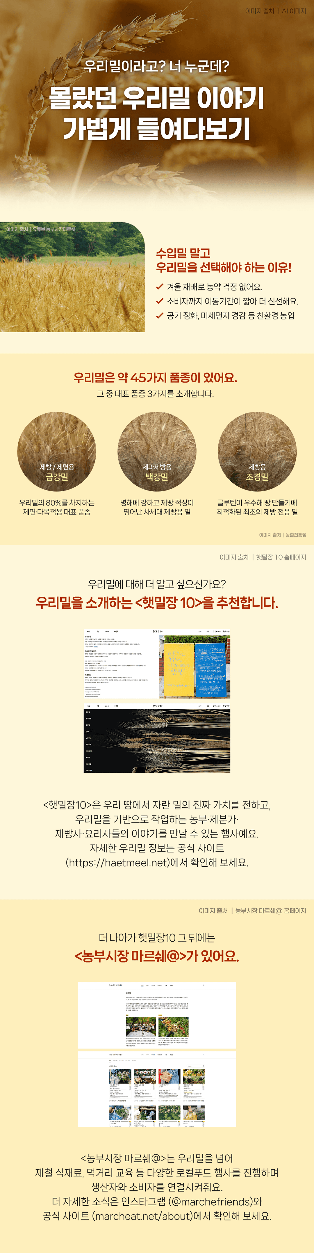 몰랐던 우리밀 이야기 가볍게 들여다보기
