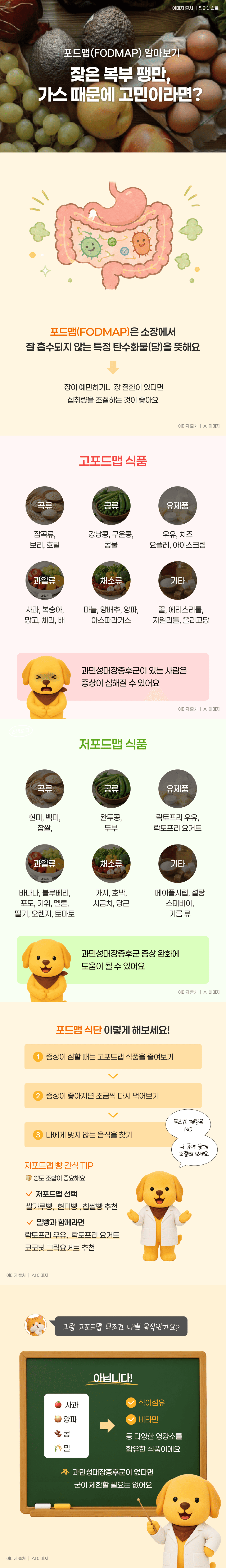 잦은 복부 팽만, 가스 때문에 고민이라면? 포드맵(FODMAP) 알아보기