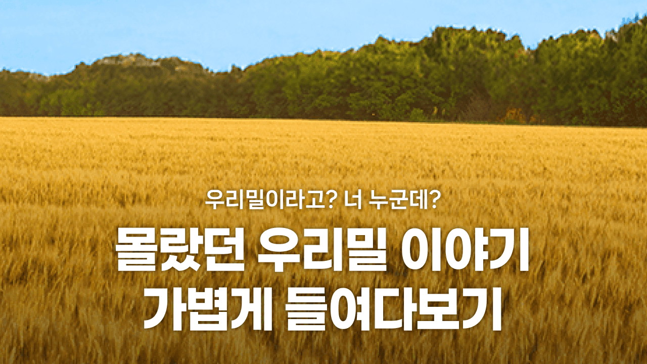 몰랐던 우리밀 이야기 가볍게 들여다보기