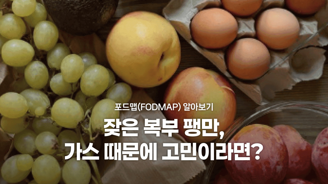 잦은 복부 팽만, 가스 때문에 고민이라면? 포드맵(FODMAP) 알아보기