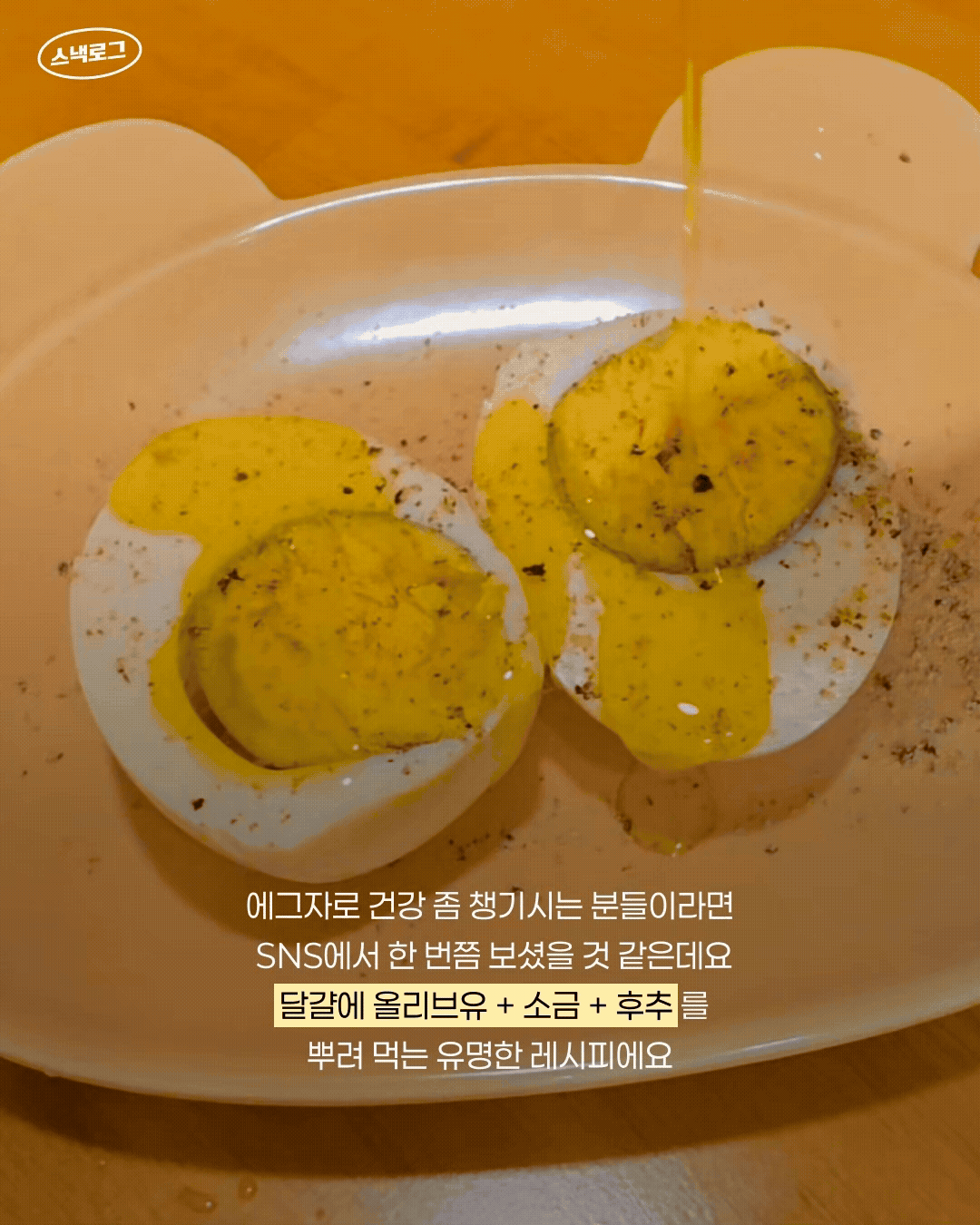 스낵로그 디자이너 에디터가 직접 해본 에그자로 아침 5일 도전기, 과연 효과는...?